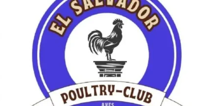 Imagen de WhatsApp 2025-06-01 a las 21.40.12_36a18b03