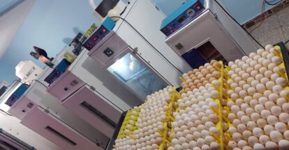 491982047_1799518314182746_4841612923395946934_n