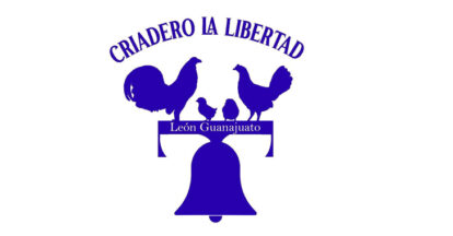 Imagen-de-asdfasdfasdasdf