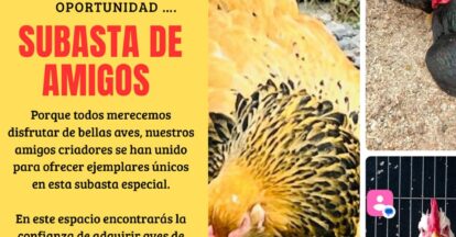 Imagen de WhatsApp 2025-08-17 a las 20.38.27_15593fc0