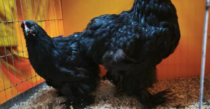 Imagen de WhatsApp 2025-08-17 a las 21.02.58_6e502efb