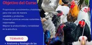 Imagen de WhatsApp 2025-09-14 a las 13.28.43_7b98966e