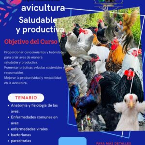Curso de Avicultura Saludable y Productiva – CONAV 2026